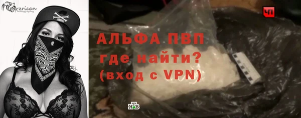 индика Балабаново