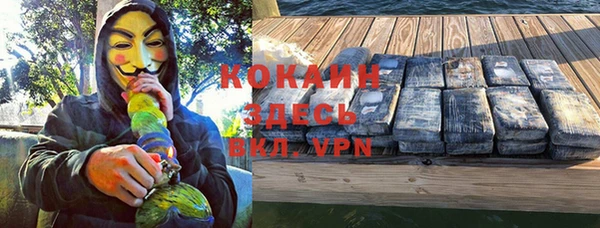 индика Балабаново