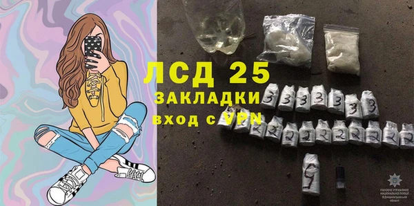 индика Балабаново