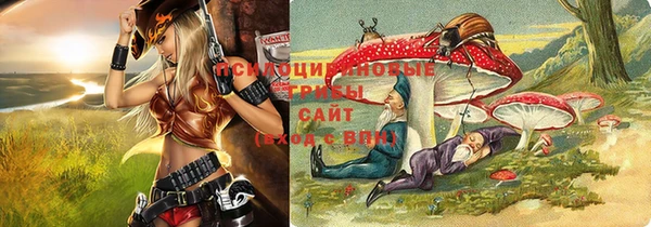 индика Балабаново
