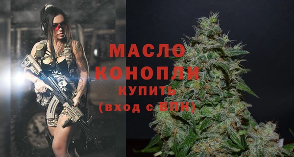 индика Балабаново