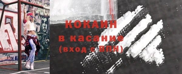 индика Балабаново