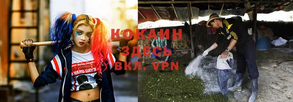 индика Балабаново